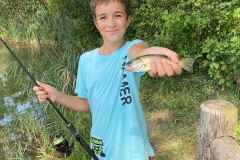 black bass ardèche