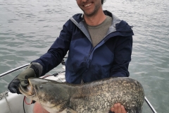 guide peche silure ardeche