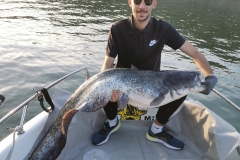 guide peche silure rhone