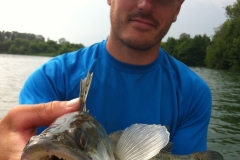zander