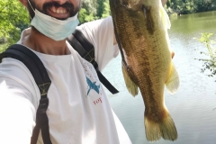 black bass ardèche rhône