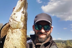 broc en stock ardèche
