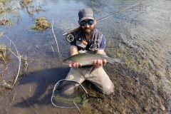 flyfishing rainbow trout