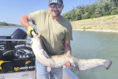 baptême silure pêche rhône