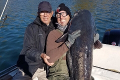 silure d'hiver avec jean-claude